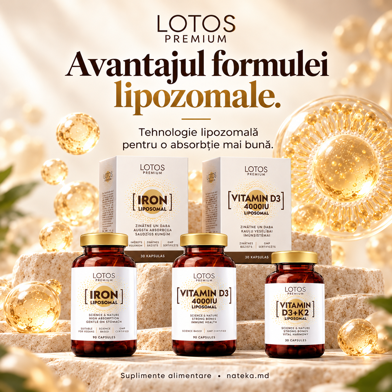 lotos premium